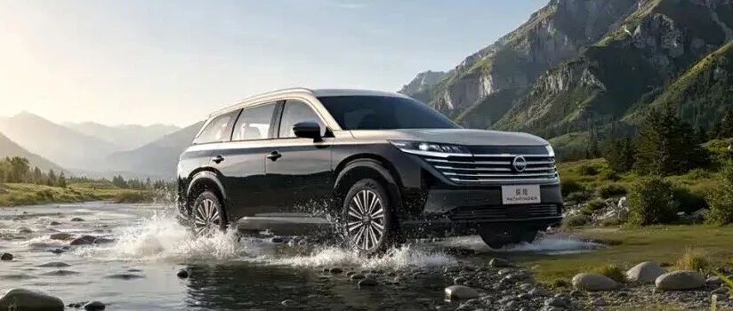 2.0T+9AT，376牛·米，双联屏，8155芯片，三排6/7座可选！