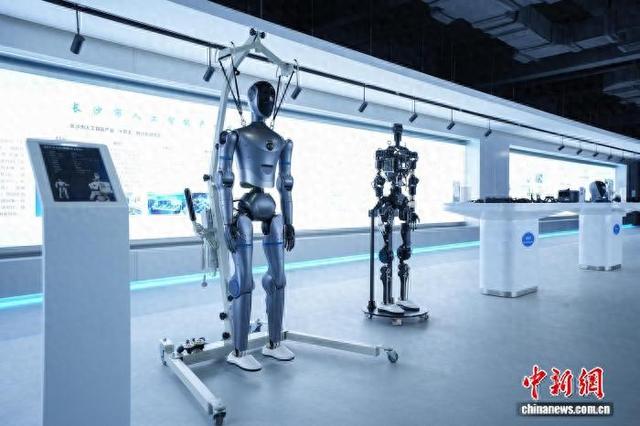 湖南具身智能创新中心展出的具身智能机器人。舒展 摄