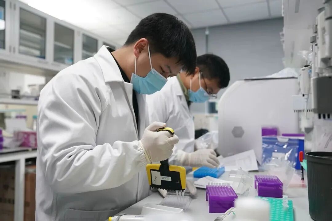 11月20日，在信达生物制药（苏州）有限公司，实验人员在提取信使核糖核酸丨新华社发（陈雨禾摄）