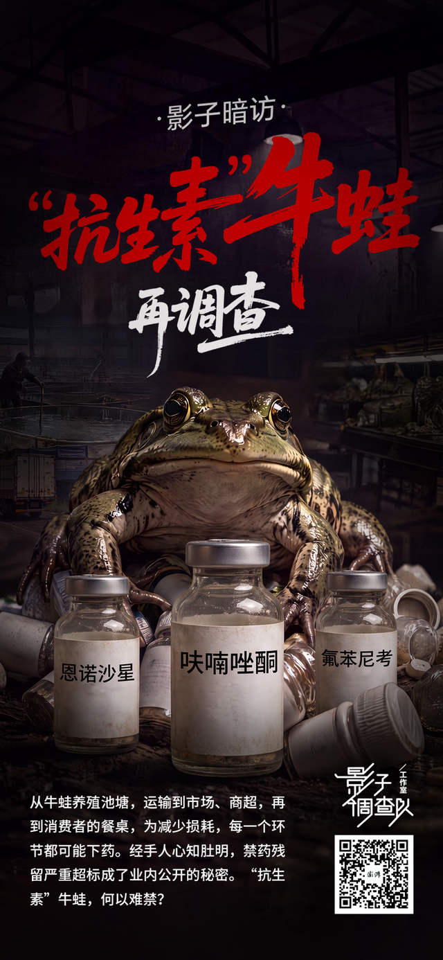 海报设计 白浪