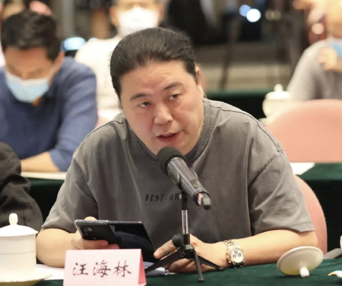 汪海林回应被举报偷逃税