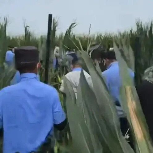 河南西平刑案嫌犯已落网