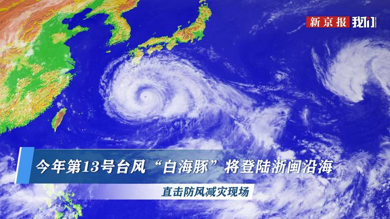 预告时间：2026-08-09 15:00