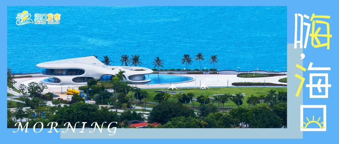 海南一批国企岗位发布 | 嗨，海口_新浪财经_新浪网