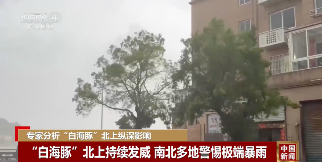 台风“白海豚”大拐弯直冲武汉 水利部启动洪水防御Ⅳ级应急响应