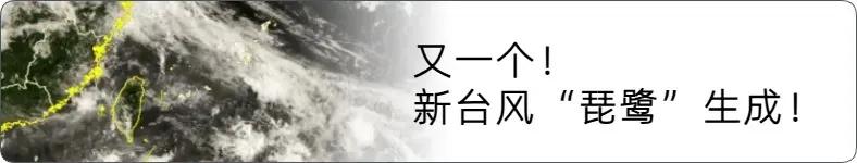 来源 中新经纬