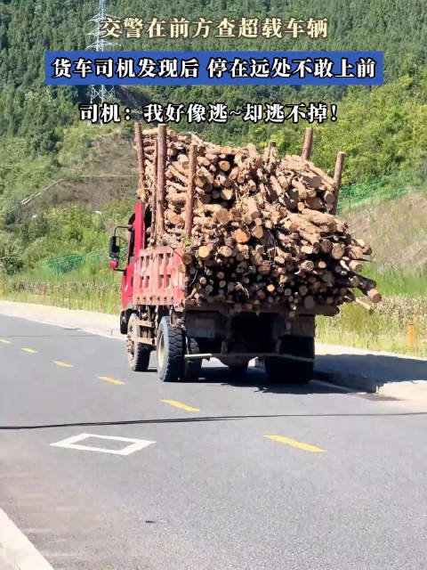 大货车 - 最新大货车实时滚动快讯,聚合所有大货车相关热门新闻快讯_新浪汽车