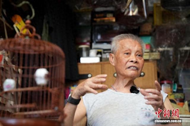 近日，雀笼手艺人陈乐财在香港接受中新社记者专访。中新社记者 张祥毅 摄
