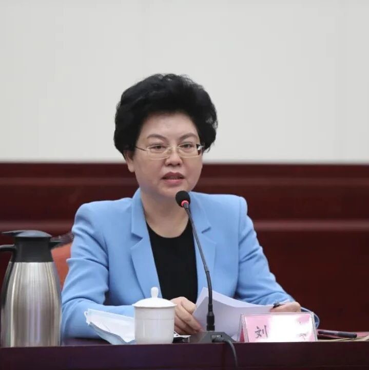 刘慧恩被双开