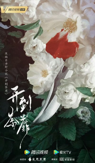 白鹿 - 最新白鹿实时滚动快讯，聚合所有白鹿相关热门新闻快讯_新浪娱乐