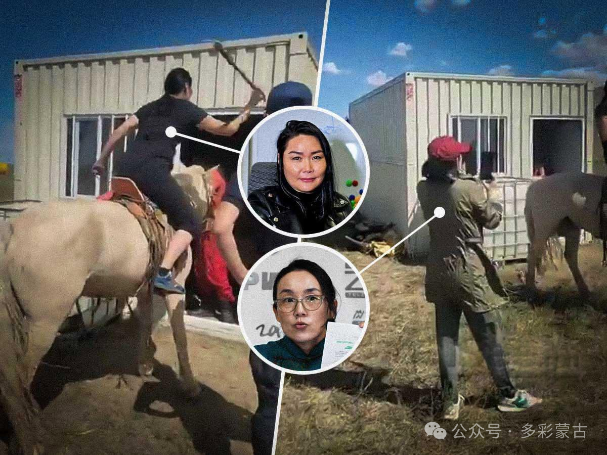 蒙古网红闯入中企肆意破坏。图片来源见水印