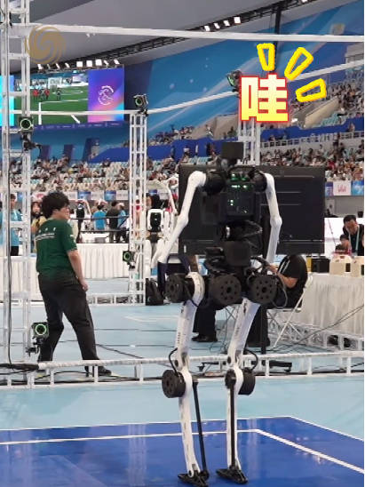 罗马直播_罗马直播免费在线观看_罗马直播免费直播视频直播