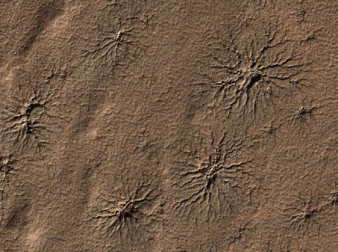 AI假图在社交平台泛滥有何风险？|火星|NASA|好奇号|图片搜索|干冰_新浪新闻