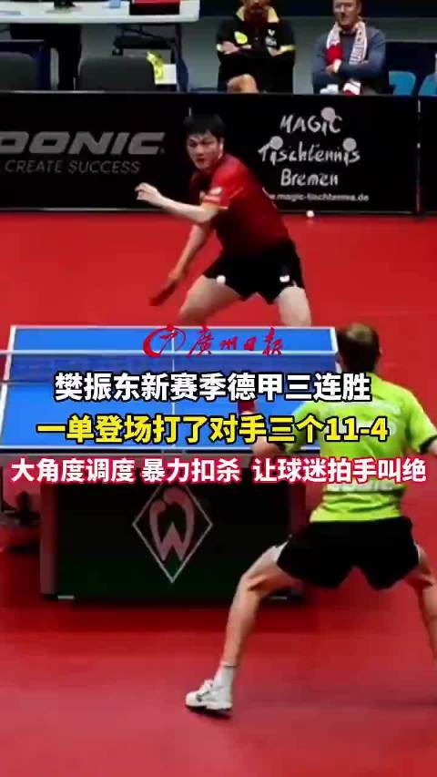 广东名将樊振东新赛季德甲三连胜 一单登场打了对手三个11-4