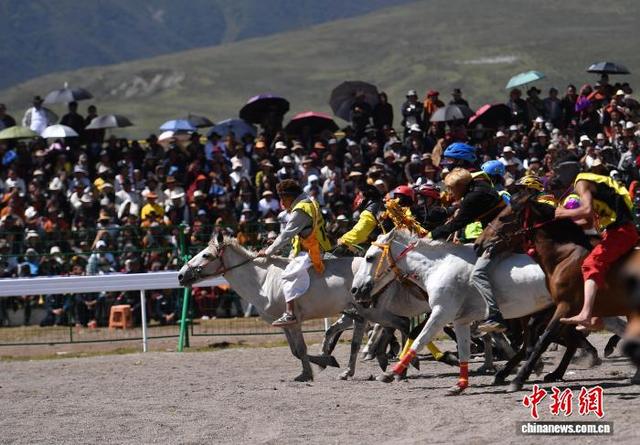 图为参赛骑手在3000米跑马决赛中。中新社记者 王磊 摄