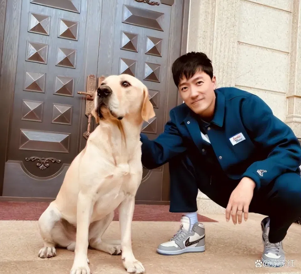 曼彻斯特城直播_曼彻斯特城免费直播在线观看_曼彻斯特城高清直播无插件