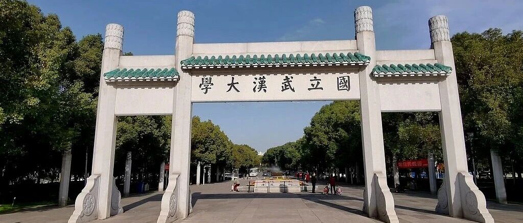 如何看待武汉大学教师遭 86 页长文实名举报，武大回应已启动调查？具体发生了什么？