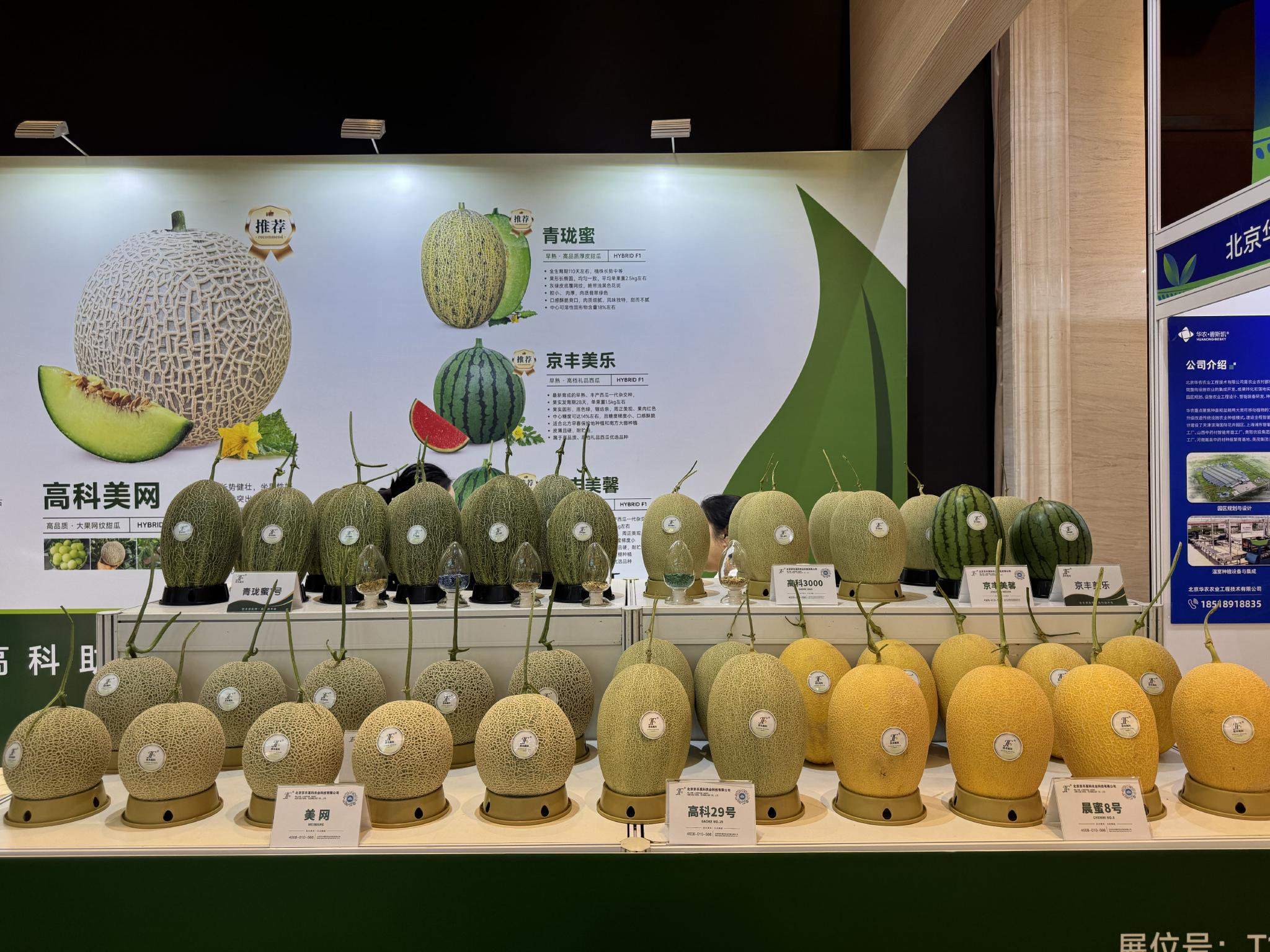 會場展出的農產品。新京報記者 耿子葉 攝