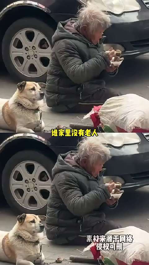 <em>皮卡</em>撞翻油漆逃逸，希望爷爷已经完全康复