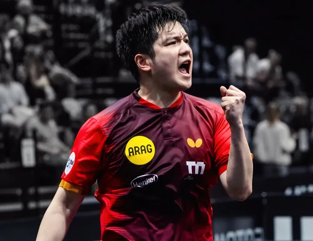 恭喜樊振东!德甲狂轰2场3-0大胜,连续“复仇”去年战胜自己之人