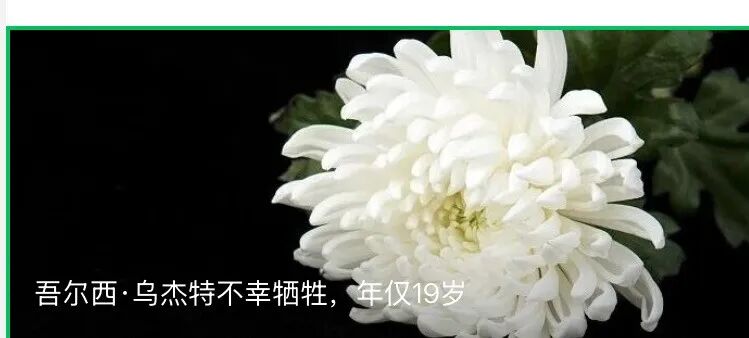 来源：中国新闻网
