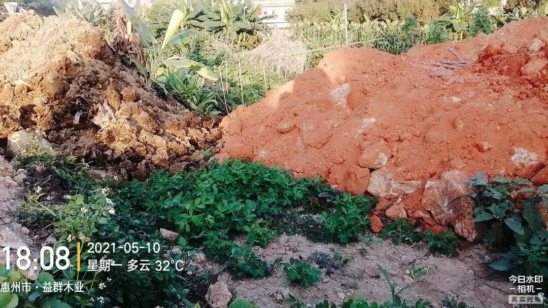 羅姚環家所耕種的土地被填平。