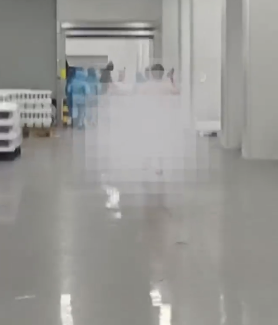 网传视频