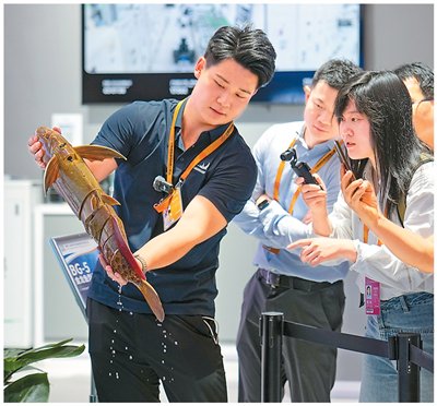 工作人員在展示一款魚型仿生機器人。新華社記者 鞠煥宗攝