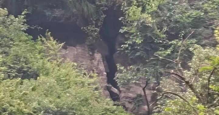 云南曲靖一村山体开裂，部分山体裂隙目测深达数十米，山坡上出现大量“马刀树”，村民：扔石头进去数秒才落底，当地：在处理