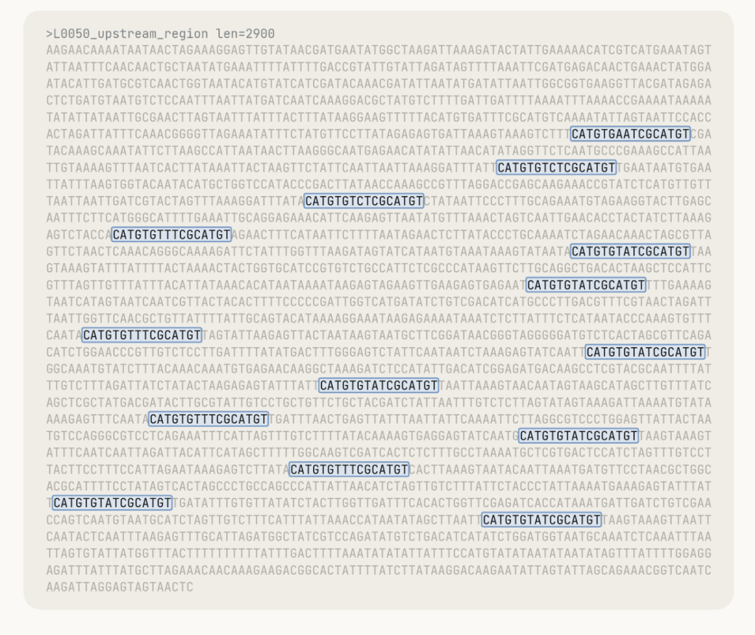 图丨Claude 在检测到无人注意到的重复模式时所读取的原始 DNA（来源：Anthropic）