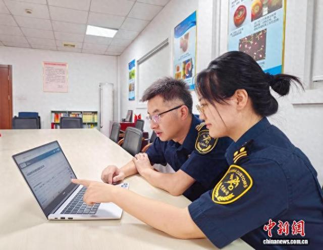 洋山海关关员查看秘鲁进口蓝莓冷处理温度探针校正数据。邵倩 摄