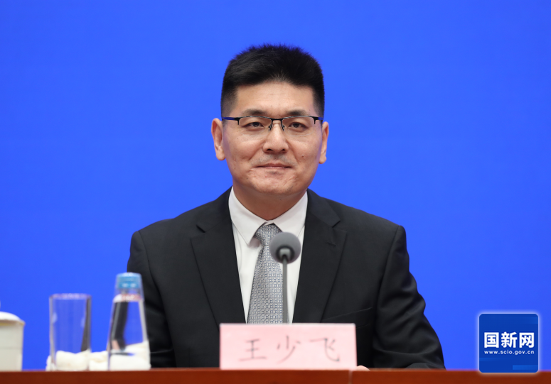 王少飞 图源：国新网