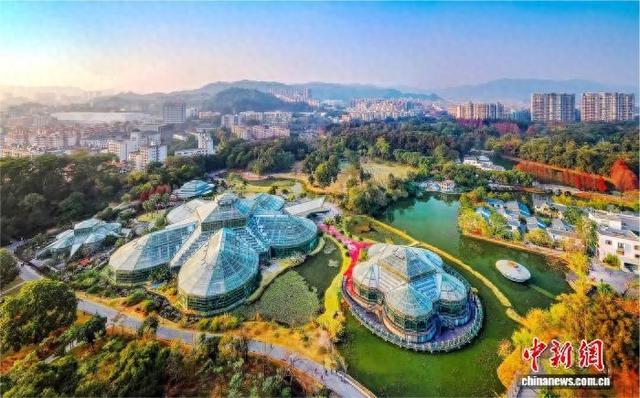 华南国家植物园。广东省林业局 供图
