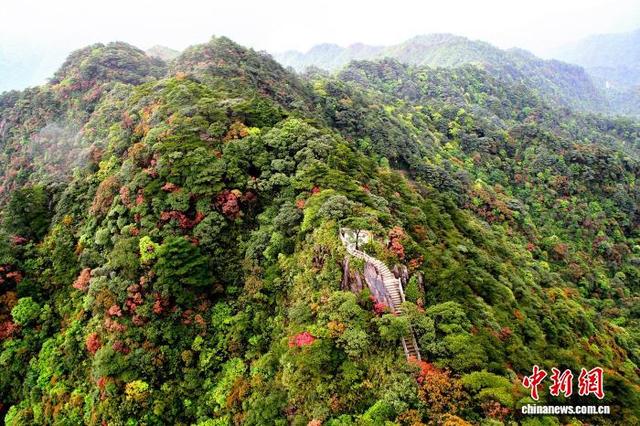 南岭国家公园候选区一角。广东省林业局 供图