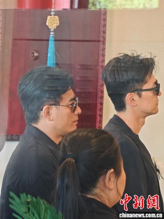 图为演员陈龙(左)、胡歌(右)