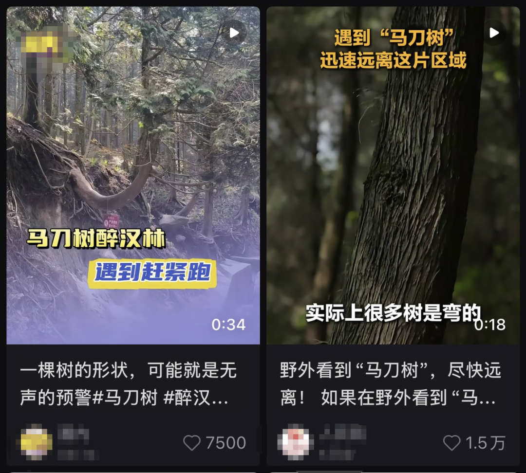 图源：某社交平台