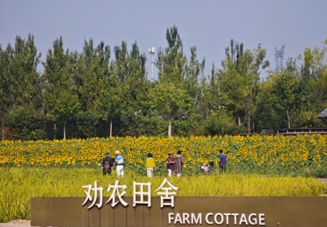图源：顺义区园林绿化服务中心