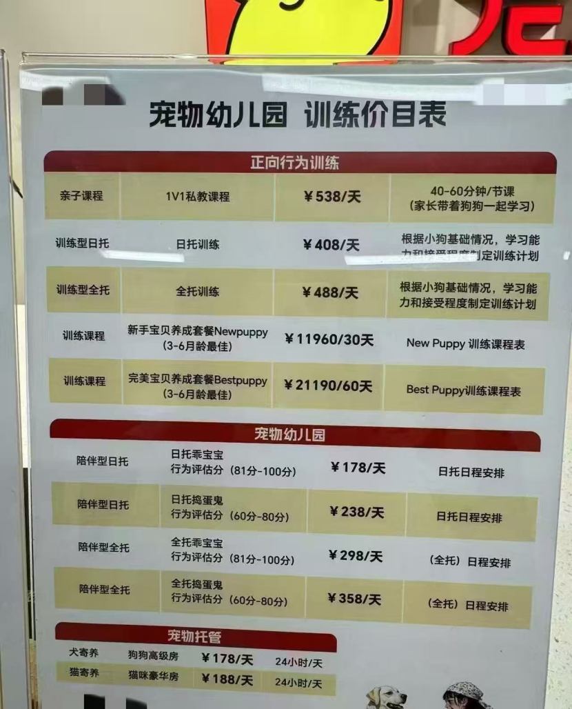图片来自网络