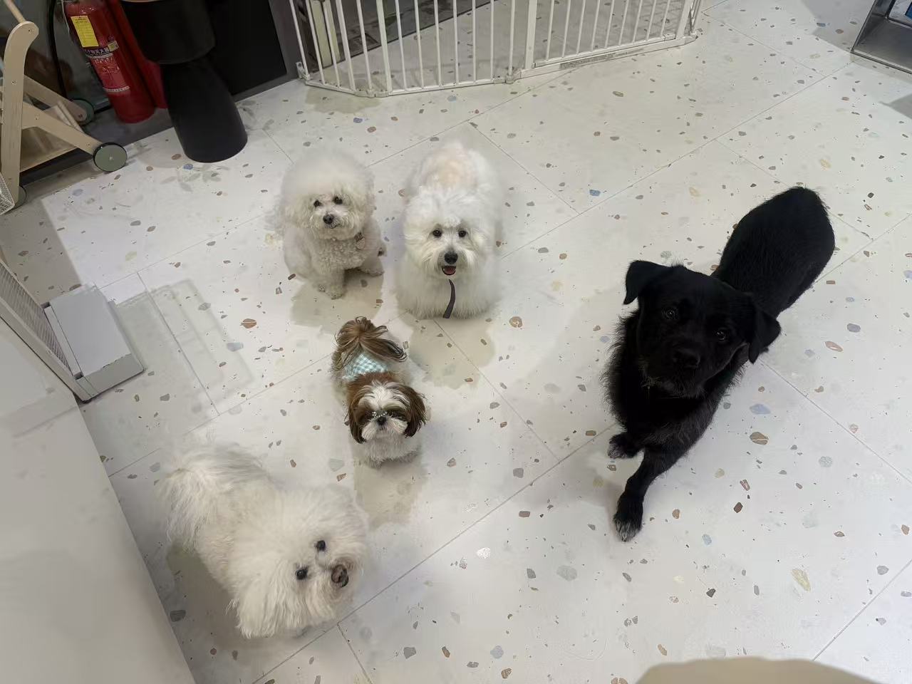 消费者提供