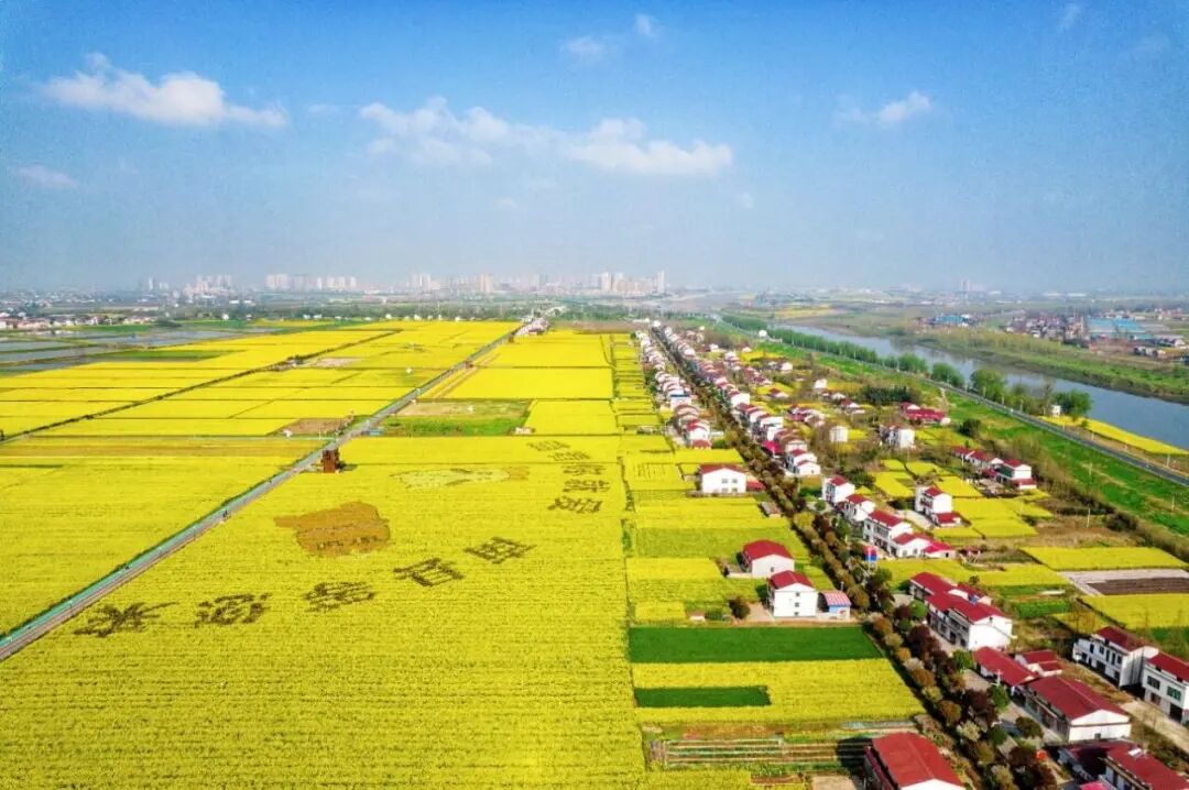 南县乌嘴乡罗文花海涂鸦艺术村，屋顶红被涂抹在天地春色之中。 图片来源：微信号“南县发布”