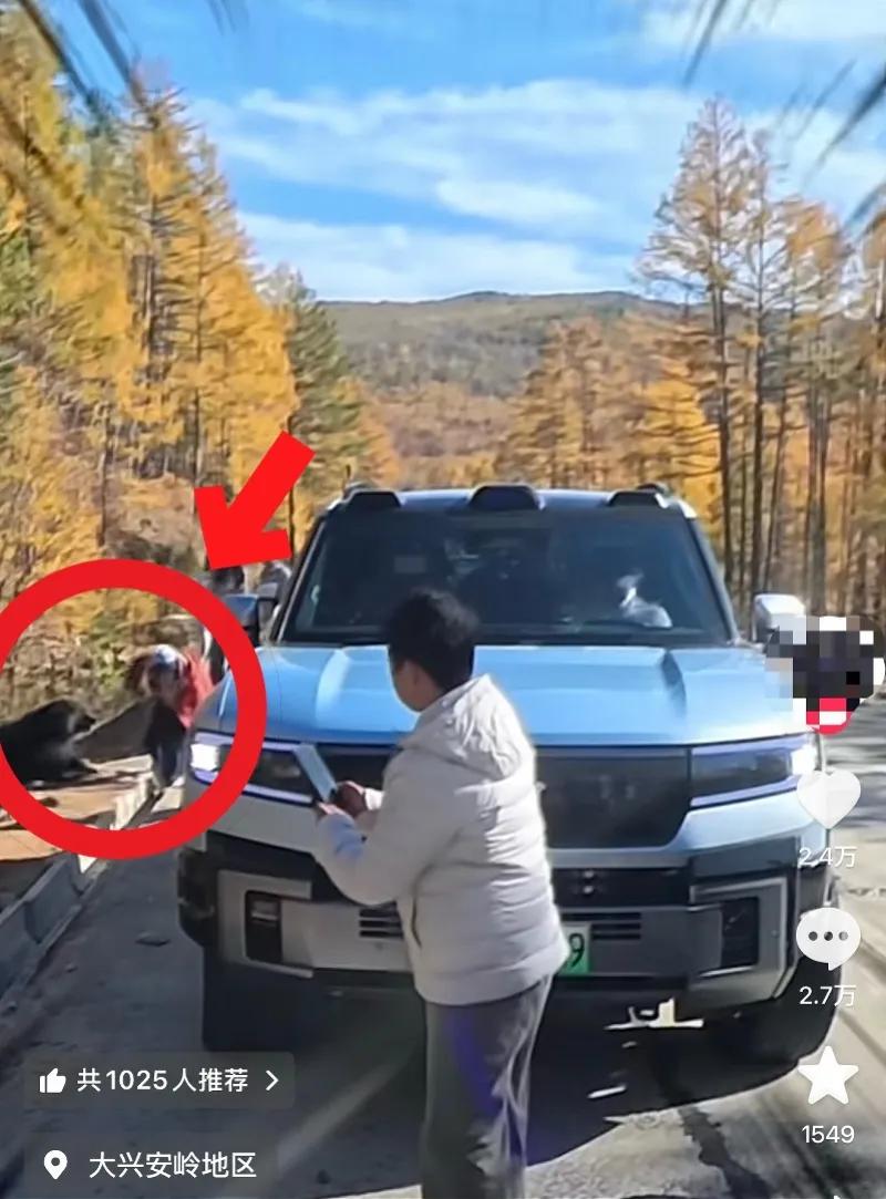 视频截图。