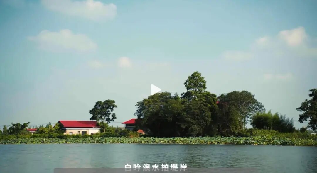 南县宣传片《只此运河》截图。来源：视频号“文旅南县”