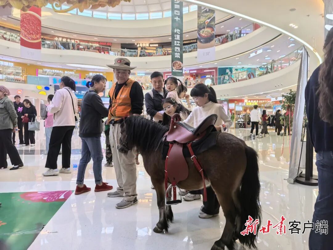 商场乐园门口的矮马。