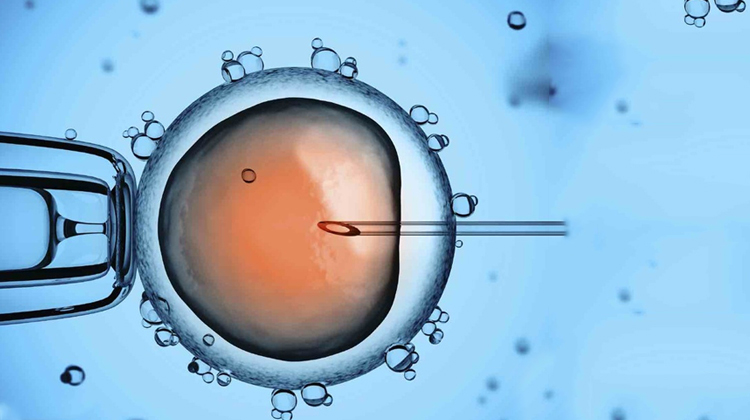 为什么越来越多中国女性选择出国冷冻卵子？