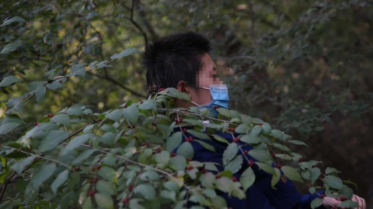 经济学分析:动物园该担何责