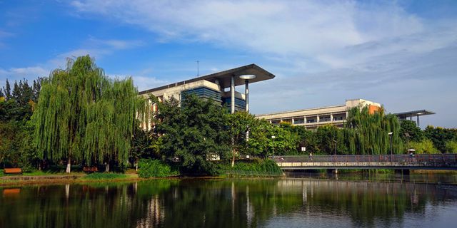 大学生遭全班举报:学术作弊造假