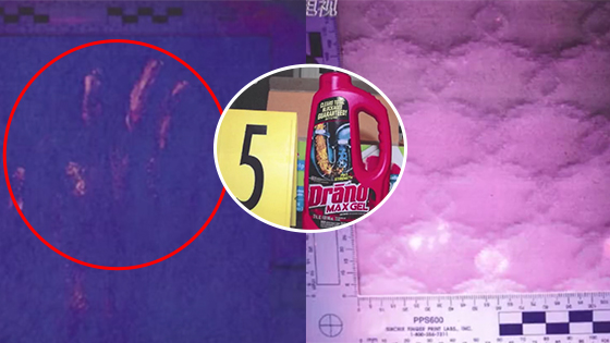 章莹颖案再曝细节：嫌犯床边发现体液手印