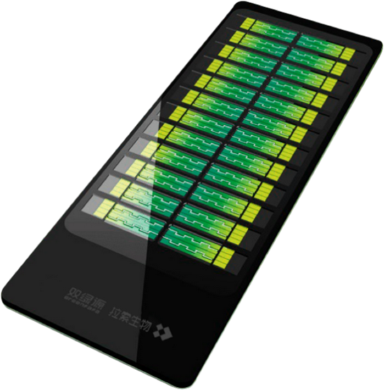 保障种子安全:双绿源携手拉索生物共研农业育种高密度基因芯片