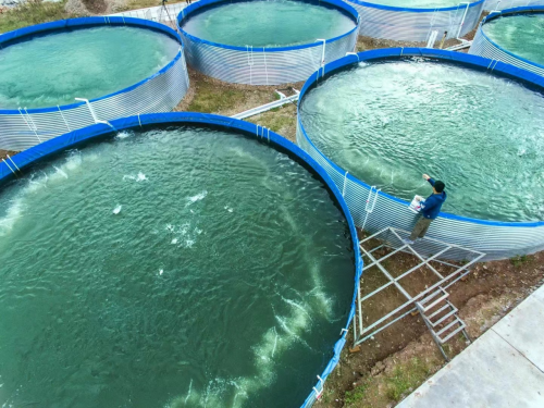 自来水厂蓄水池图片图片