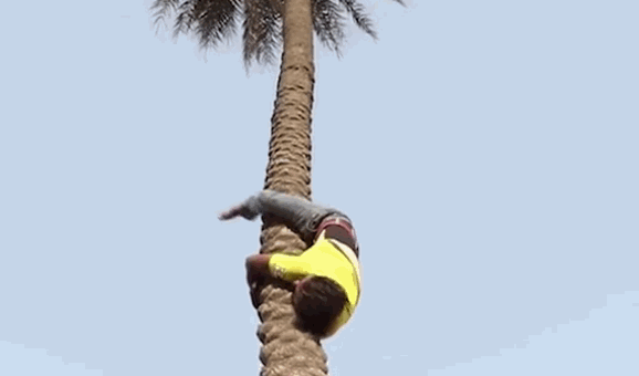 578_340gif 动态图 动图